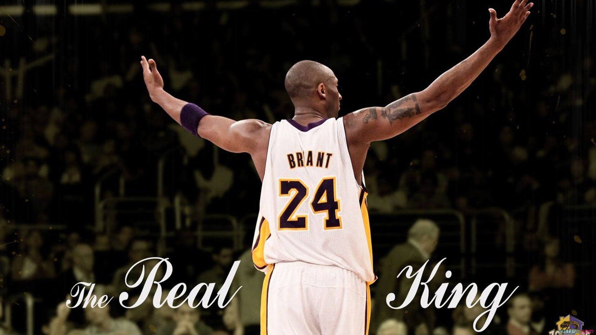 快船带队取胜！，Rookie重要时刻表现优异上演精彩一战